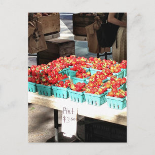Carte Postale New York Greenmarket Farmers Market Fraises