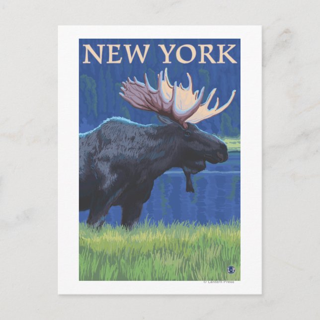 Carte Postale New YorkMoose au clair de lune (Devant)