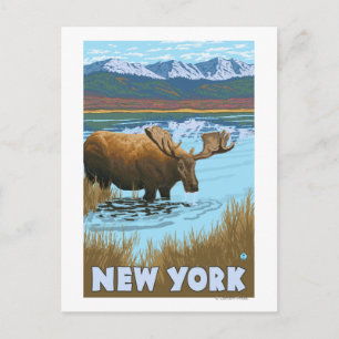 Carte Postale New YorkMoose Boire dans le lac