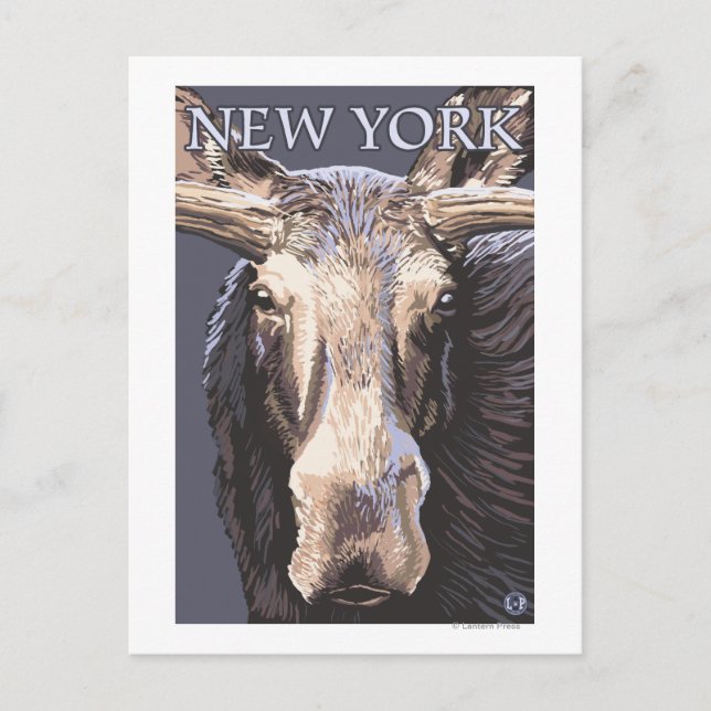 Carte Postale New YorkMoose de près (Devant)