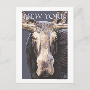 Carte Postale New YorkMoose de près