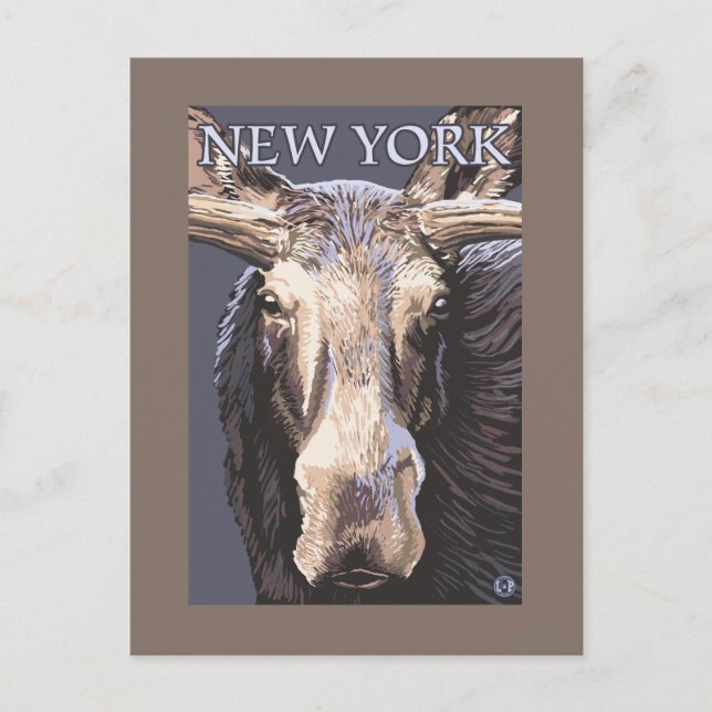 Carte Postale New YorkMoose près (Devant)