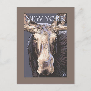 Carte Postale New YorkMoose près
