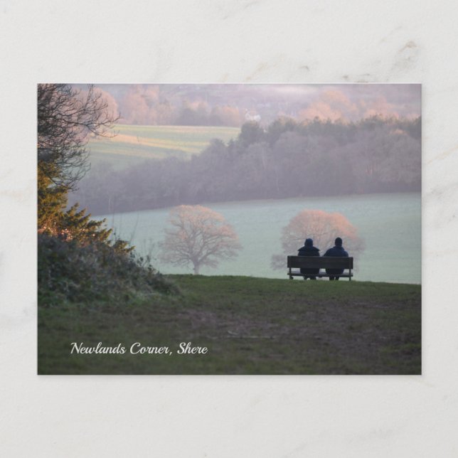 Carte Postale Newlands Corner, Shere Good Friends (Devant)