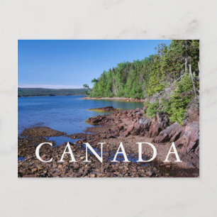 Carte Postale Newman Sound Horizontal