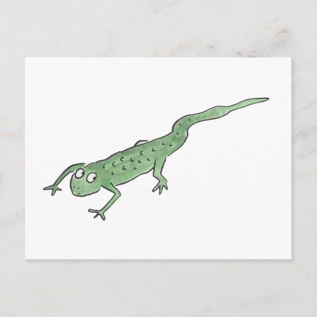 Carte Postale Newt (Devant)
