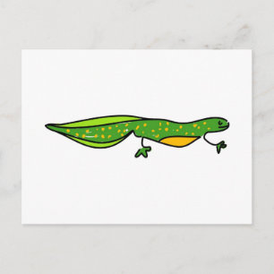 Carte Postale newt