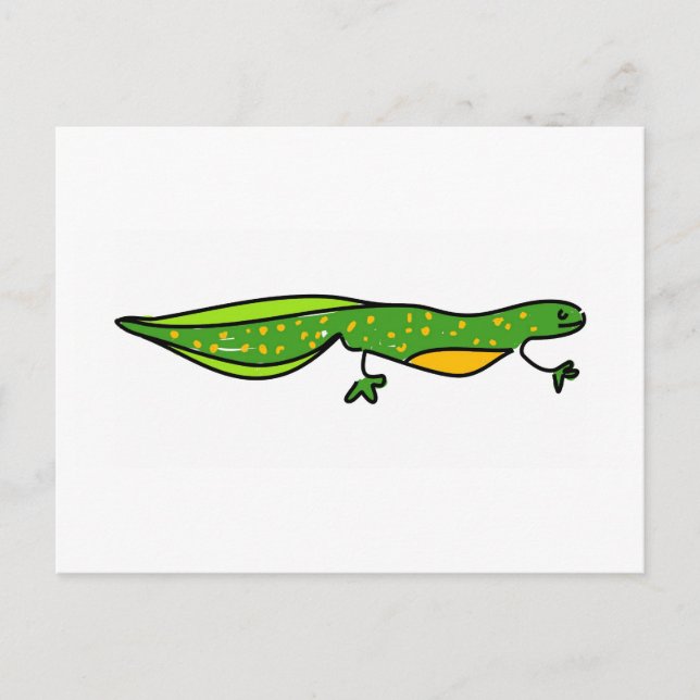 Carte Postale newt (Devant)