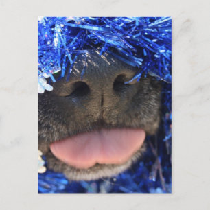 Carte Postale Nez de chien noir avec langue de taureau bleu