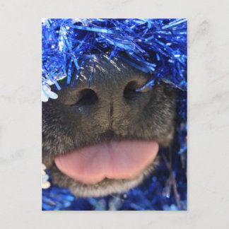 Carte Postale Nez de chien noir avec langue de taureau bleu