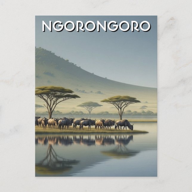 Carte Postale Ngorongoro Tanzanie Gnous (Devant)