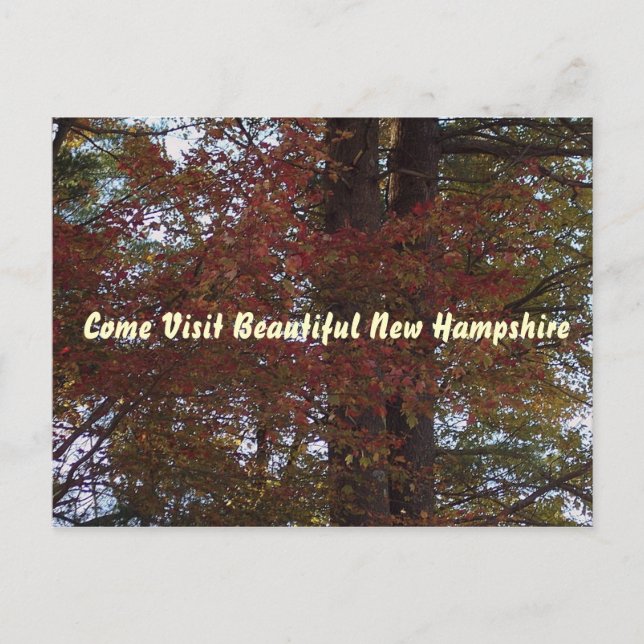 Carte postale NH (Devant)