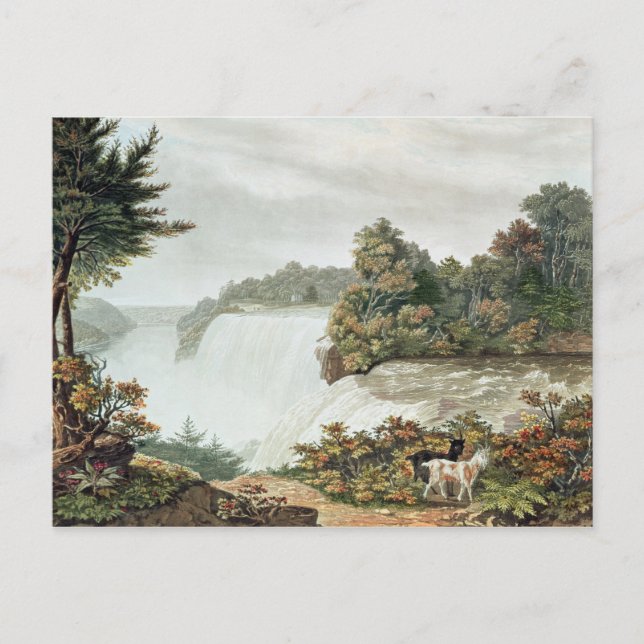 Carte Postale Niagara Falls, de l'île de Goat (Devant)