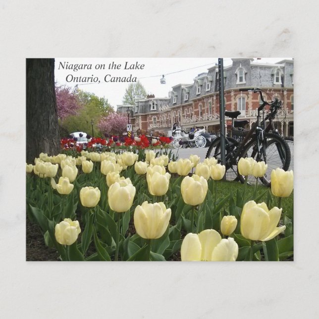 Carte Postale Niagara sur le lac (Devant)