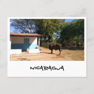 Carte Postale Nicaragua