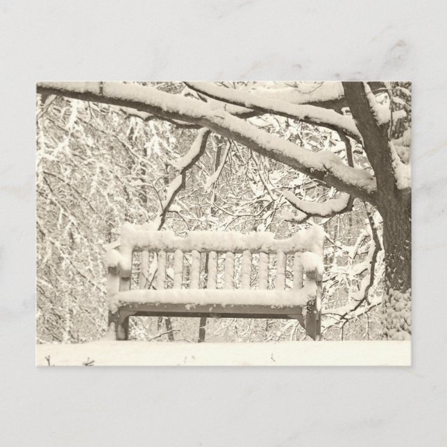 Carte Postale Nichols Arboretum (Devant)