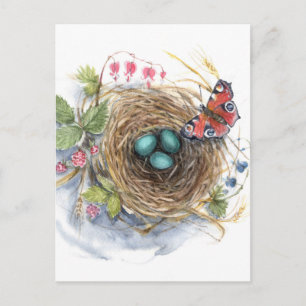 Carte Postale Nid de rouge-gorge