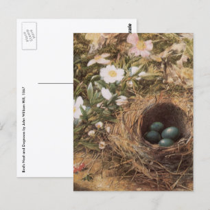 Carte Postale Nid d'oiseau et Roses de chien par John William Hi