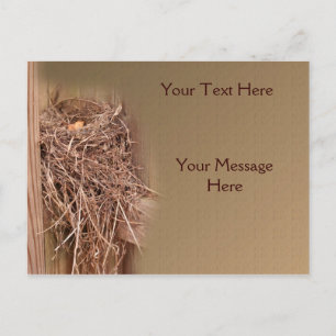 Carte Postale Nid D'Oiseaux Dans La Nature De La clôture