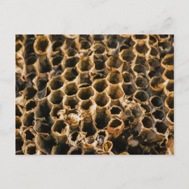 Carte Postale Nid vide (Devant)