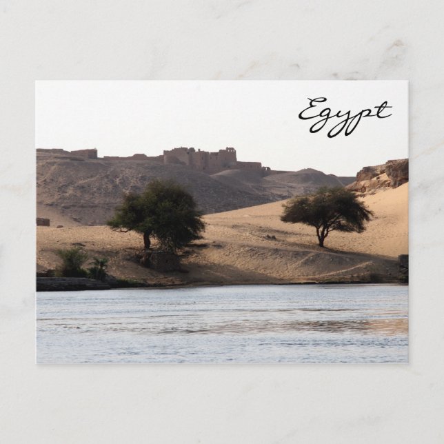 Carte Postale nids (Devant)