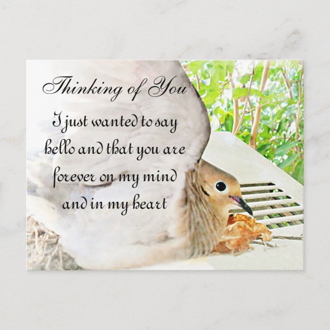 Carte Postale N'importe quelle occasion_ (Devant)