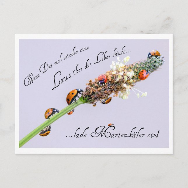 Carte Postale N'importe qui peut utiliser un peu de chance suppl (Devant)