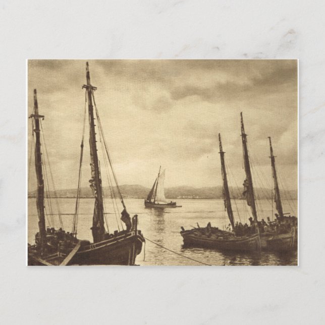 Carte Postale N'importe qui pour les huîtres !  Bateaux de pêche (Devant)