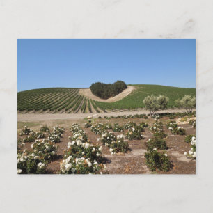 Carte Postale Niner Estates Heart Hill et White Roses