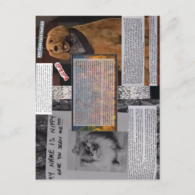 Carte postale Nippy & Rusty : "Art Strike !"; Bolu (Devant)