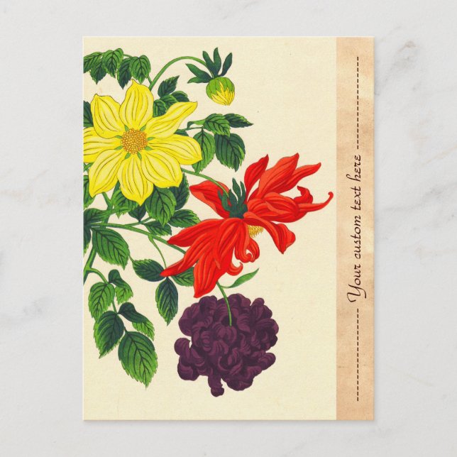 Carte Postale Nishimura Hodo Dahlias fleurs japonaises orientale
