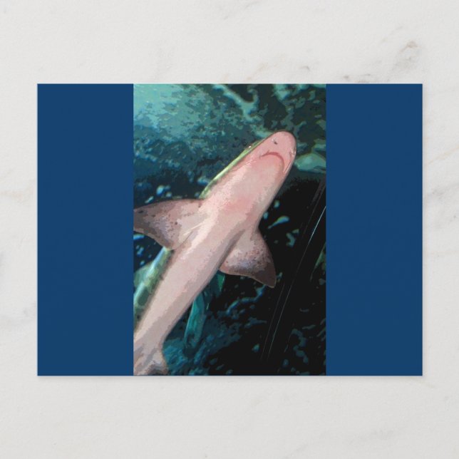 Carte Postale NJ Shark CB (Devant)