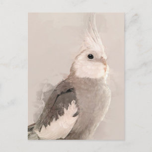 Carte postale no 9 Cockatiel Portrait