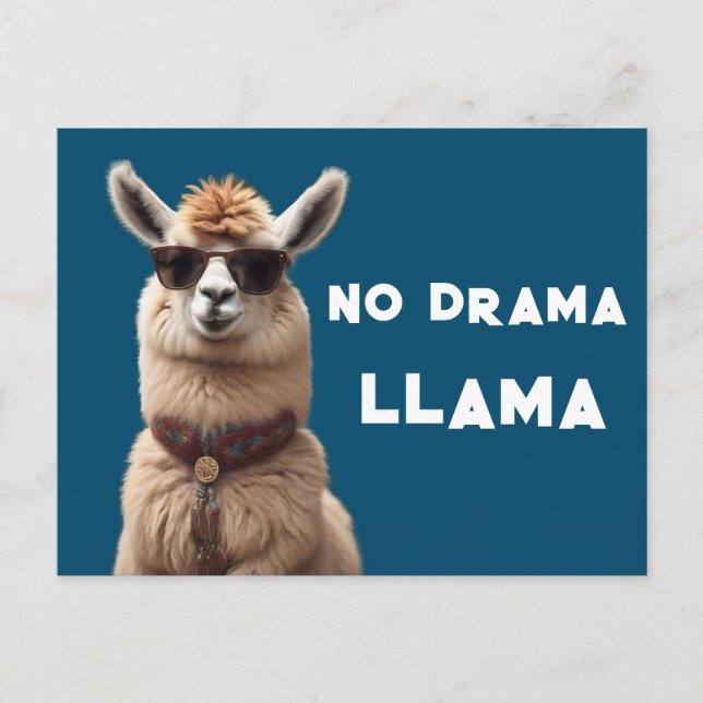 Carte Postale No Drama Llama Cool Alpaca Porte Lunettes de solei (Devant)