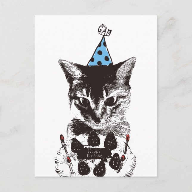 Carte Postale Nobigao Anniversaire Chat (Devant)