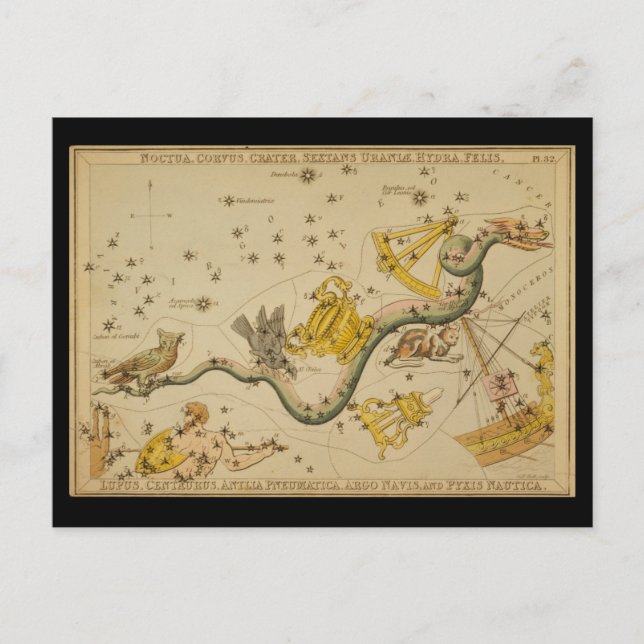 Carte Postale Noctua, Corvus, Hydra, Felis, Lupus, Centaurus, &c (Devant)