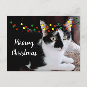 Carte Postale Noël