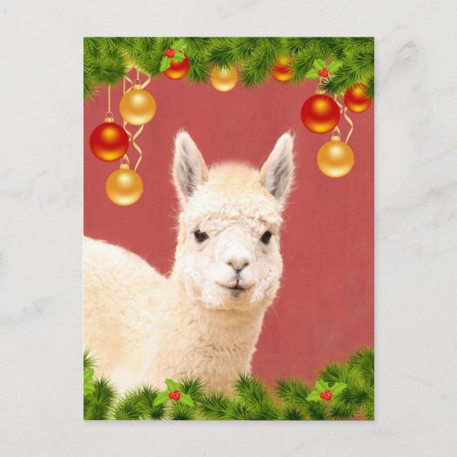 Carte Postale Noël à la Cute Llama (Devant)