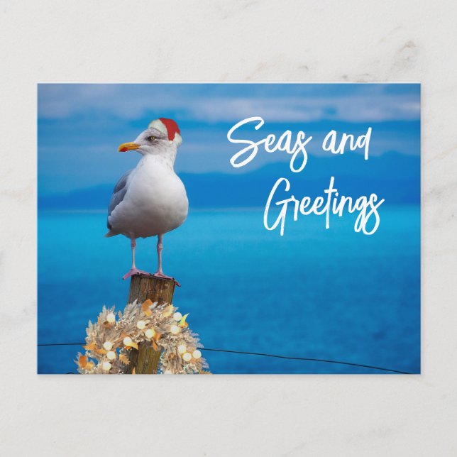Carte Postale Noël Beach Seas et salutations Seagull Ocean (Devant)
