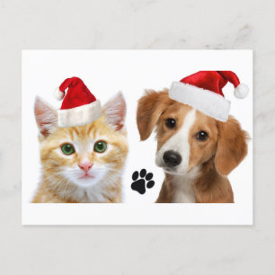Carte Postale Noël Chien Chat Cute Animaux de Noël Noël Noël