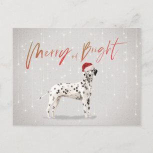 Carte Postale Noël Dalmatie Joyeux Bright