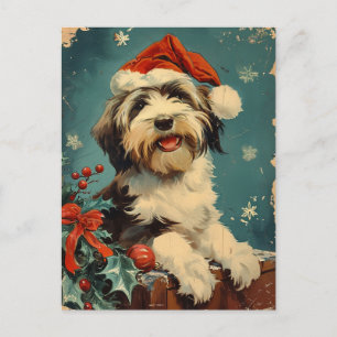 Carte Postale Noël de Collie barrée