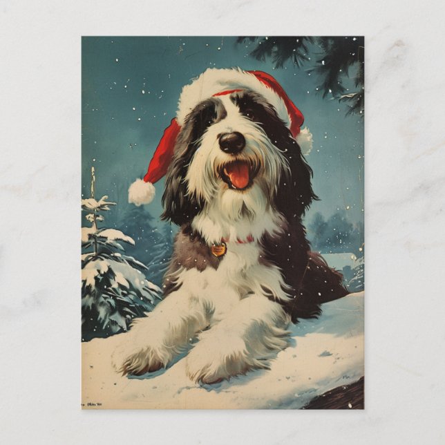 Carte Postale Noël de Collie barrée (Devant)