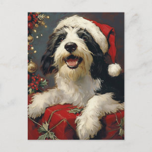 Carte Postale Noël de Collie barrée