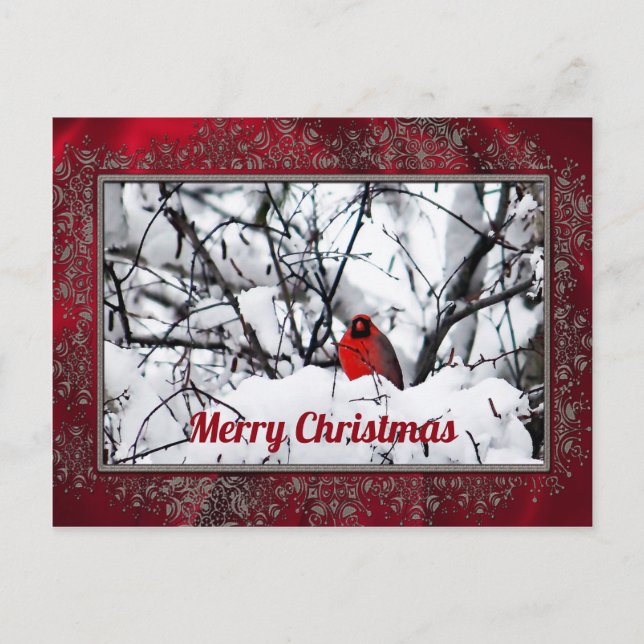 Carte Postale Noël de la photo cardinale Redbird (Devant)