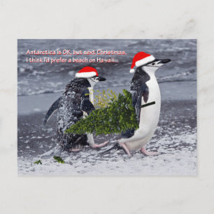 Carte postale Noël de la plage Antarctique