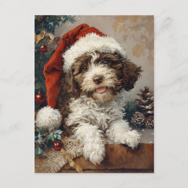 Carte Postale Noël de Lagotto Romagnolo (Devant)