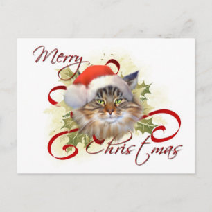 Carte postale Noël du chat Maine Coon