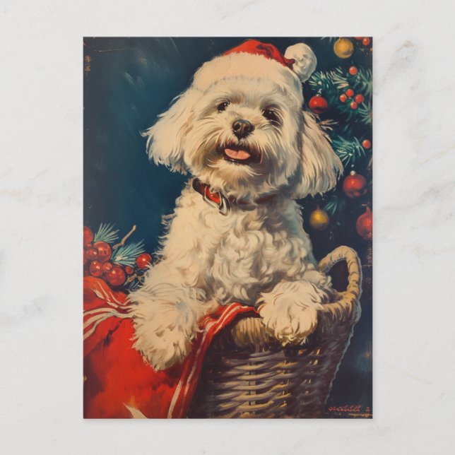Carte Postale Noël du chien maltais (Devant)