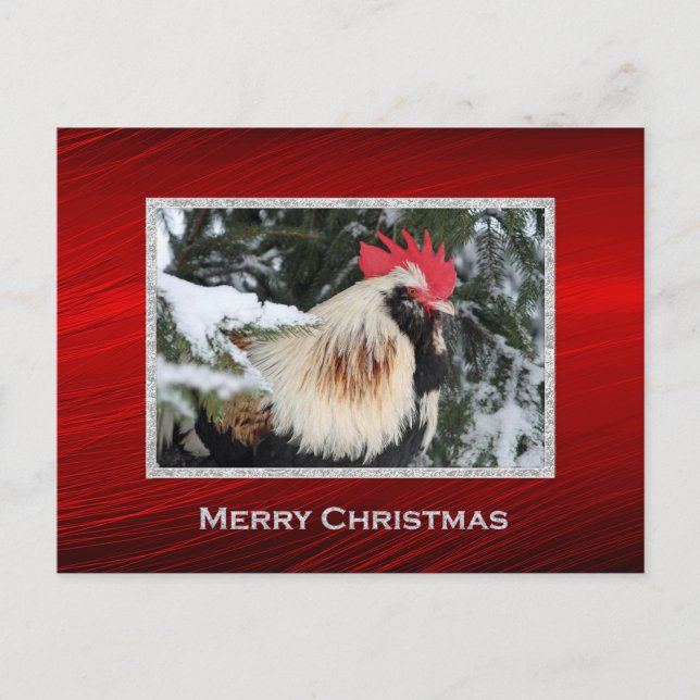 Carte Postale Noël du coq (Devant)